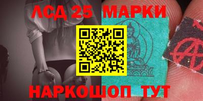 индика Ярославль